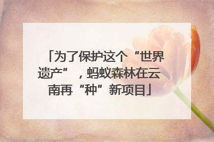 为了保护这个“世界遗产”，蚂蚁森林在云南再“种”新项目